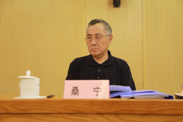 桑寧